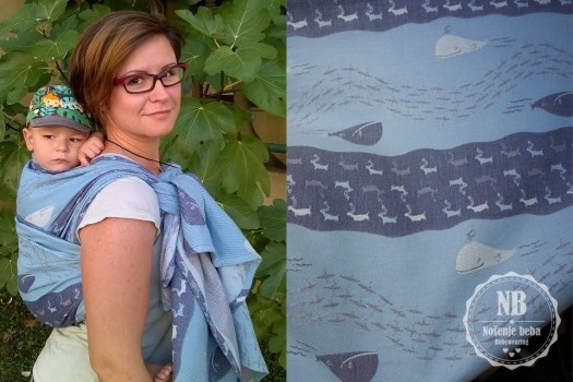 Vatanai Yakutat odrezan u vel. 3 u gusarskom vezu (RRR, Pirate's carry). 